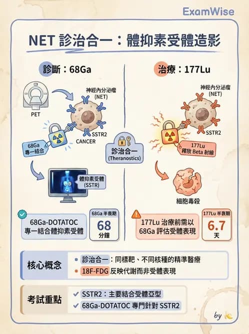 放射 - 腫瘤PET藥物 - AI 圖文解析預覽