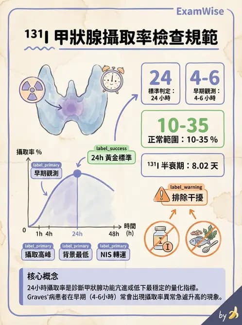 放射 - 甲狀腺造影 - AI 圖文解析預覽