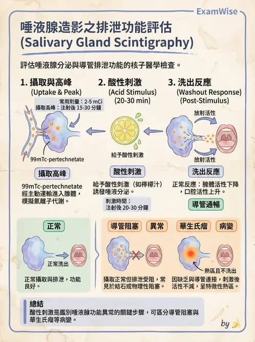 放射 - 消化道造影 - AI 圖文解析預覽