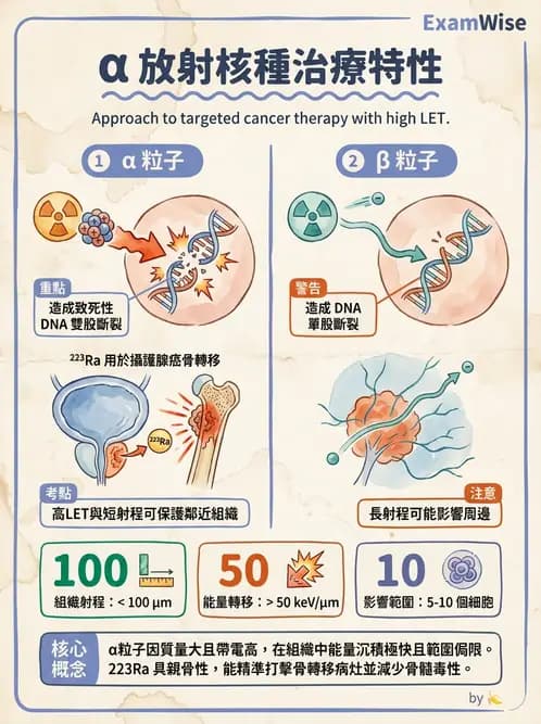 放射 - 腫瘤治療 - AI 圖文解析預覽