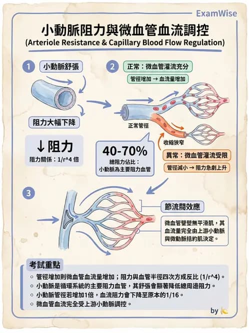 放射 - 心血管生理 - AI 圖文解析預覽