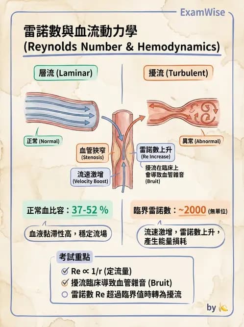 放射 - 心血管生理 - AI 圖文解析預覽