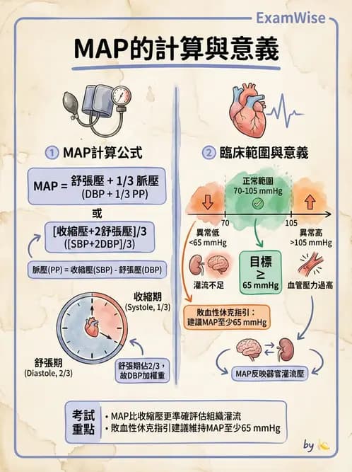 放射 - 心血管生理 - AI 圖文解析預覽