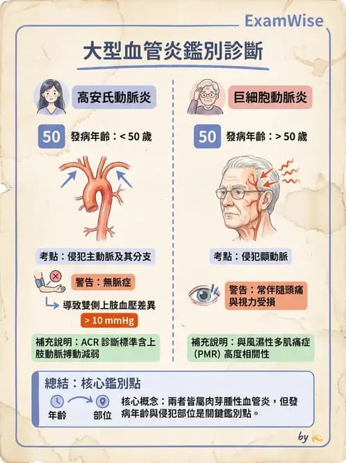 放射 - 心臟及血管疾病 - AI 圖文解析預覽