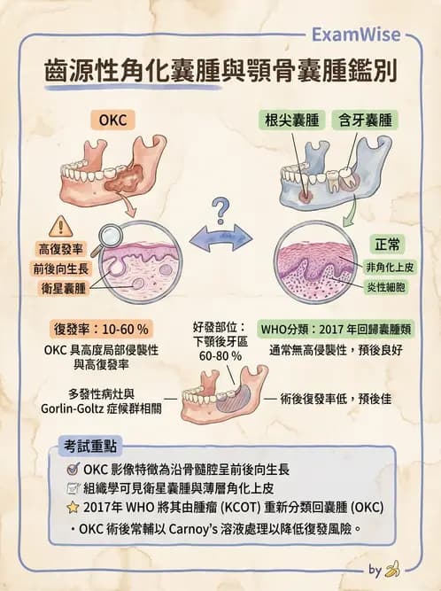 放射 - 口腔及腸胃道疾病 - AI 圖文解析預覽