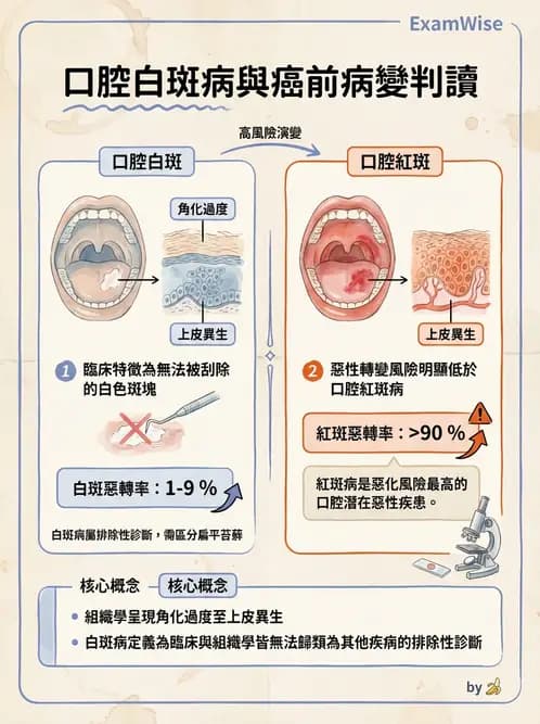 放射 - 口腔及腸胃道疾病 - AI 圖文解析預覽