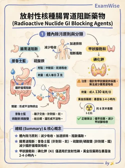 放射 - 體內劑量 - AI 圖文解析預覽