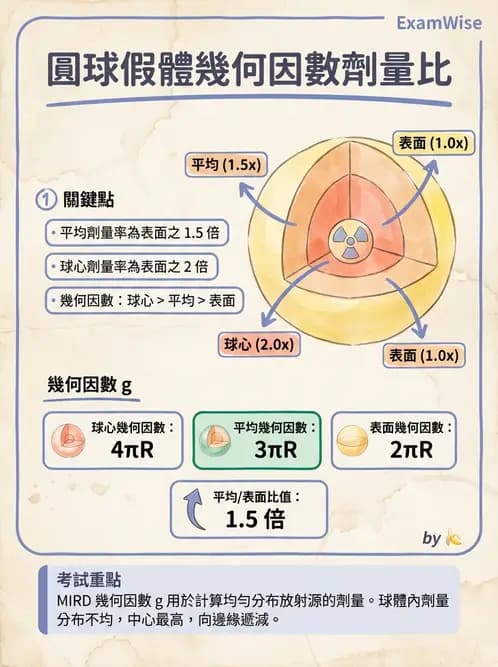 放射 - 體內劑量 - AI 圖文解析預覽