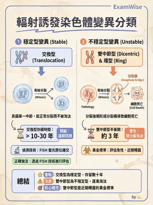 放射 - DNA損傷修復與細胞效應 - AI 圖文解析預覽