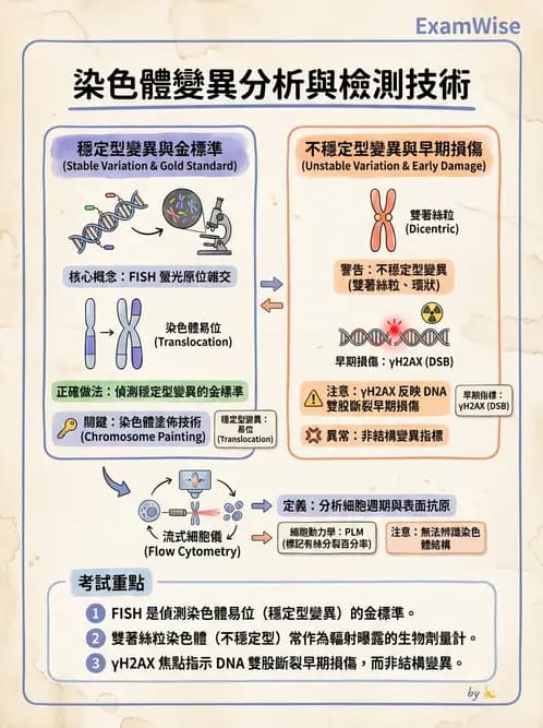 放射 - DNA損傷修復與細胞效應 - AI 圖文解析預覽