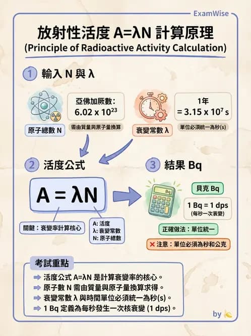 放射 - 放射性活度與衰變計算 - AI 圖文解析預覽