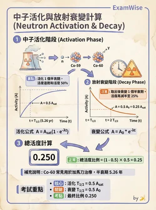 放射 - 放射性活度與衰變計算 - AI 圖文解析預覽