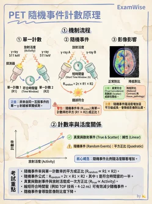 放射 - 核子醫學物理 - AI 圖文解析預覽