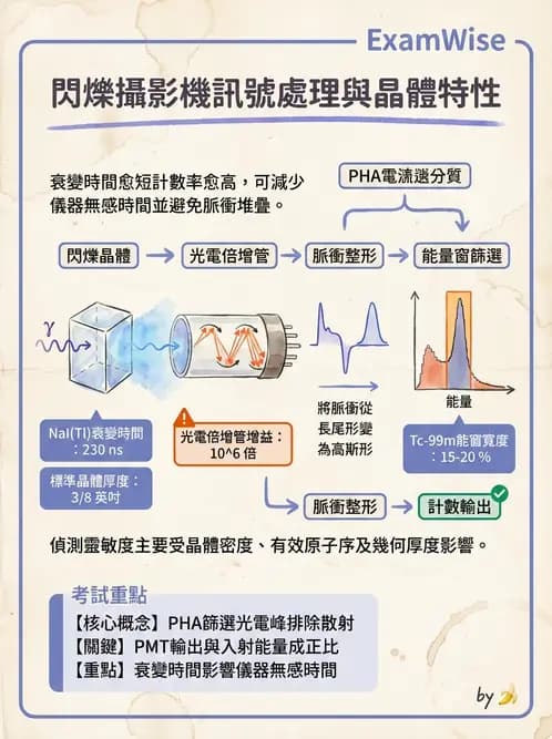 放射 - 核子醫學物理 - AI 圖文解析預覽
