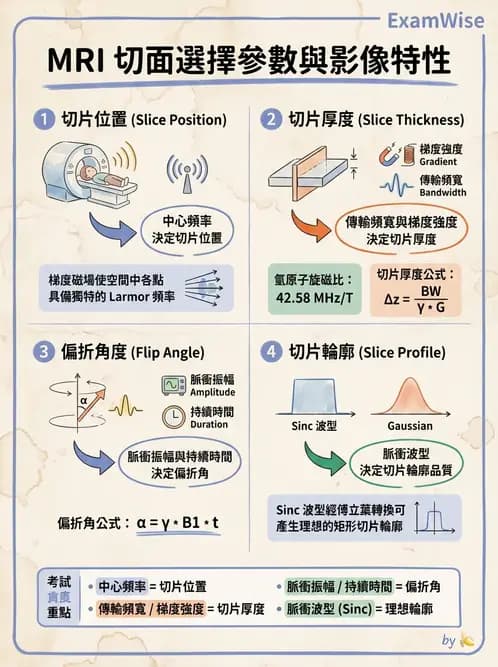 放射 - 空間編碼與影像品質 - AI 圖文解析預覽