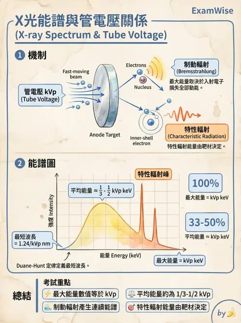 放射 - X光產生與特性 - AI 圖文解析預覽
