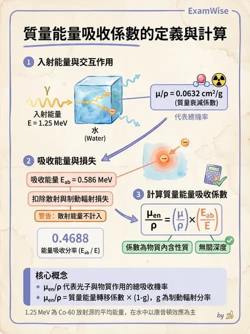 放射 - 劑量物理量與單位 - AI 圖文解析預覽