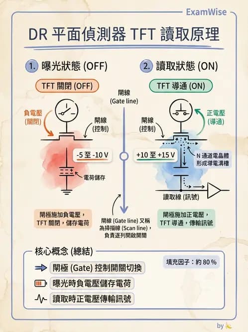 放射 - 數位放射攝影(DR)偵測器與影像品質 - AI 圖文解析預覽