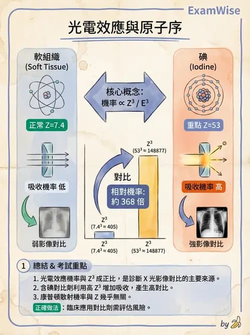 放射 - X光成像系統與影像品質 - AI 圖文解析預覽