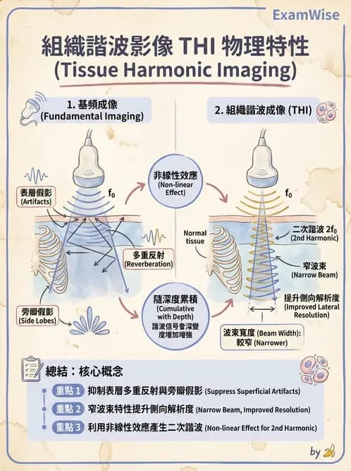 放射 - 超音波進階成像與假影 - AI 圖文解析預覽