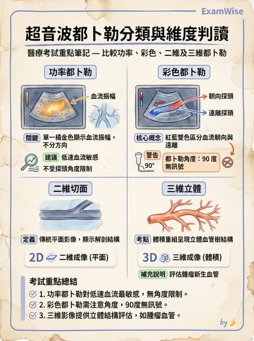 放射 - 都普勒超音波 - AI 圖文解析預覽