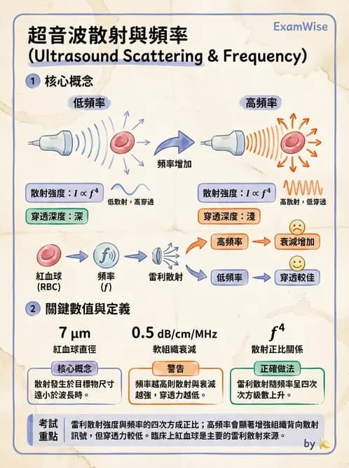 放射 - 超音波物理與系統原理 - AI 圖文解析預覽