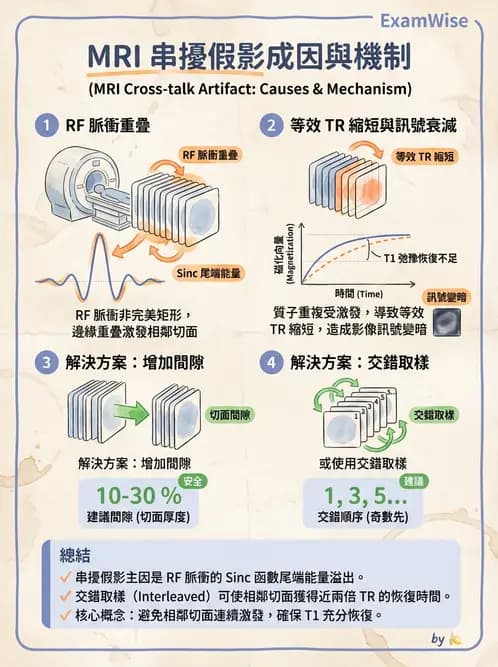 放射 - 射頻系統與線圈 - AI 圖文解析預覽
