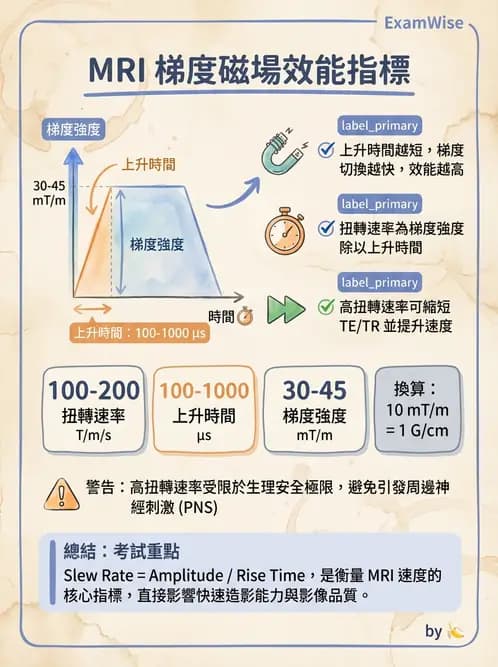 放射 - 梯度線圈與空間編碼 - AI 圖文解析預覽