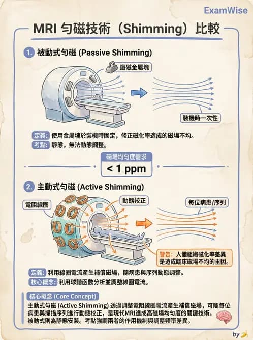 放射 - 主磁場、磁鐵類型與勻場 - AI 圖文解析預覽