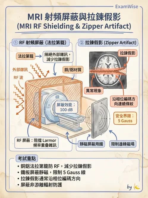 放射 - 磁場與射頻屏蔽 - AI 圖文解析預覽