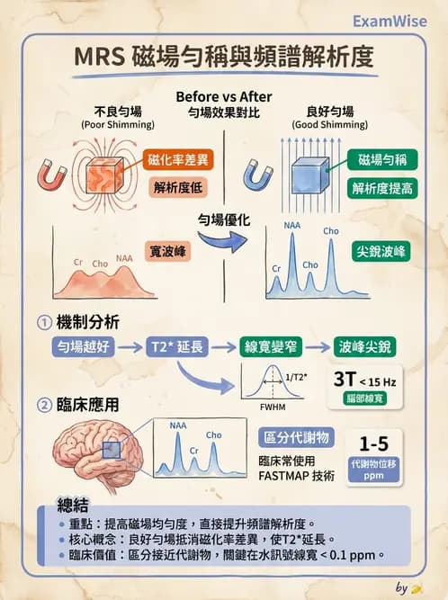 放射 - 主磁場、磁鐵類型與勻場 - AI 圖文解析預覽