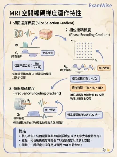 放射 - 梯度線圈與空間編碼 - AI 圖文解析預覽