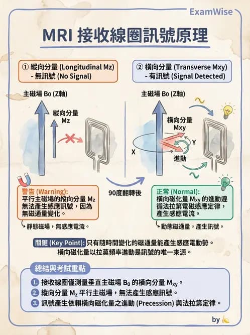放射 - 射頻系統與線圈 - AI 圖文解析預覽