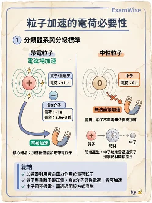 放射 - 質子及中子治療機 - AI 圖文解析預覽