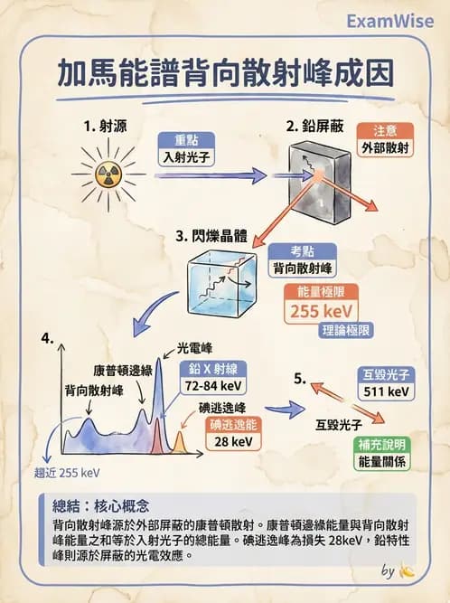 放射 - 非影像閃爍偵測器 - AI 圖文解析預覽