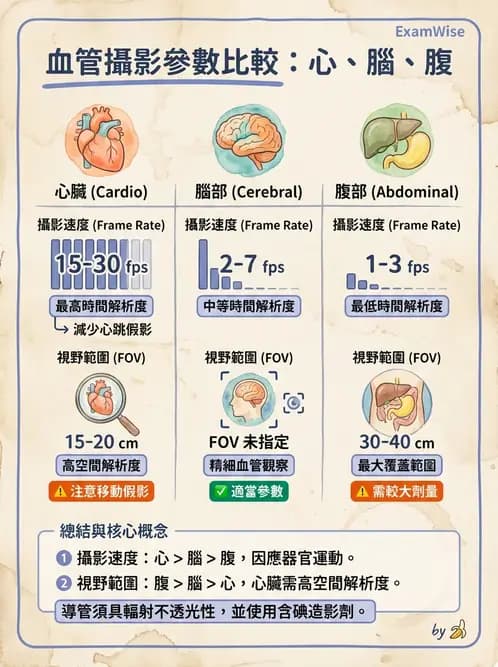 放射 - 血管攝影原理與解剖 - AI 圖文解析預覽