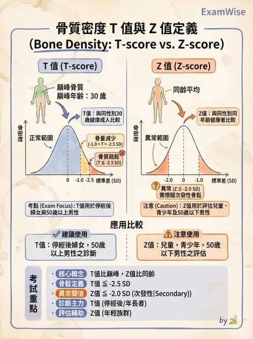 放射 - 乳房攝影與其他特殊檢查 - AI 圖文解析預覽