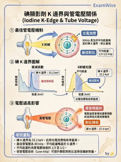 放射 - 血管攝影原理與解剖 - AI 圖文解析預覽