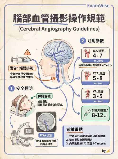 放射 - 血管攝影原理與解剖 - AI 圖文解析預覽
