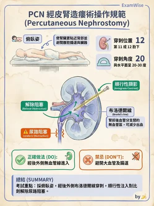 放射 - 導管技術與介入性治療 - AI 圖文解析預覽