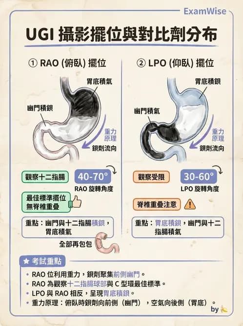 放射 - 消化道造影 - AI 圖文解析預覽