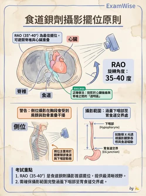 放射 - 消化道造影 - AI 圖文解析預覽