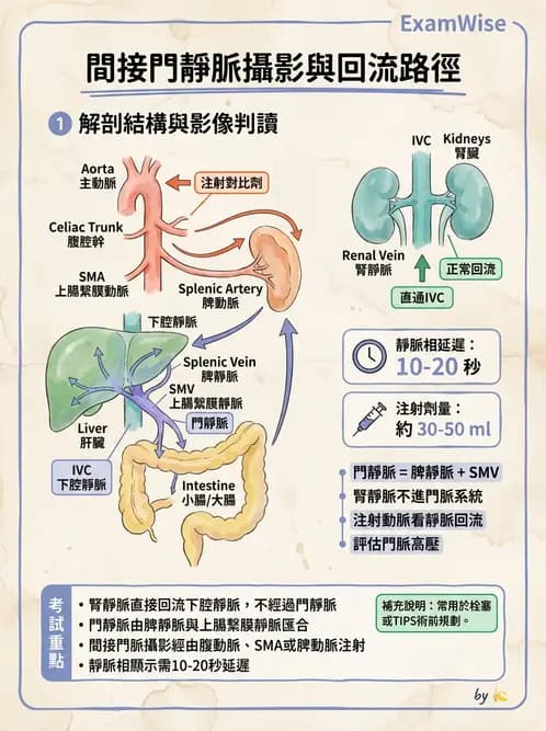 放射 - 血管攝影原理與解剖 - AI 圖文解析預覽