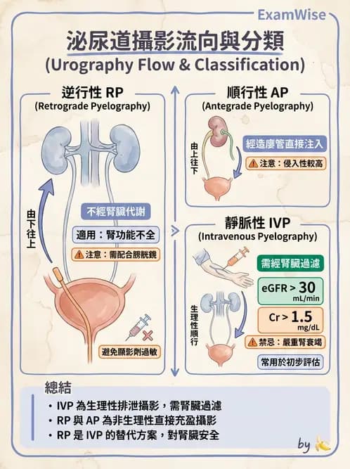 放射 - 泌尿生殖攝影 - AI 圖文解析預覽