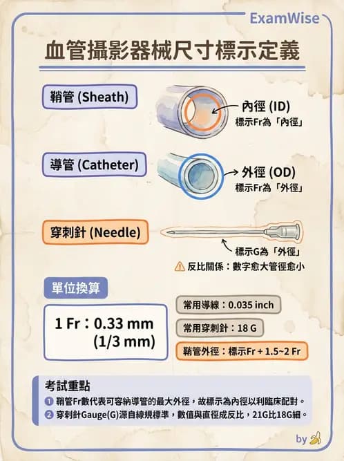 放射 - 導管技術與介入性治療 - AI 圖文解析預覽