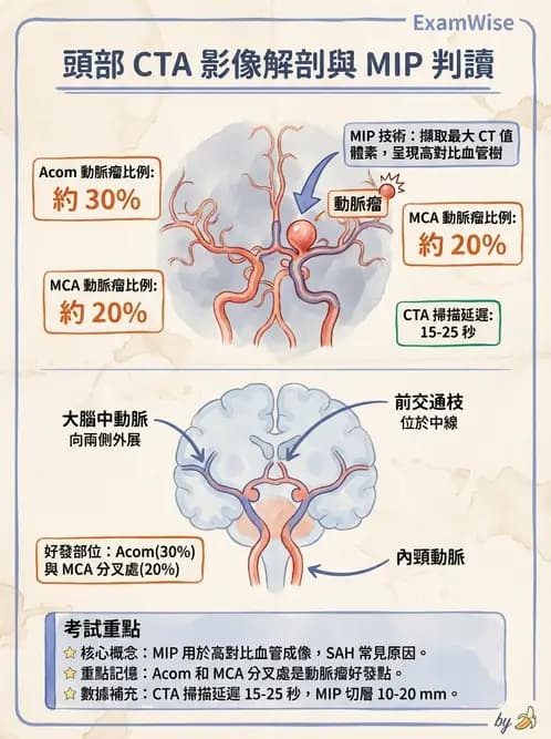 放射 - 頭頸部CT診斷 - AI 圖文解析預覽