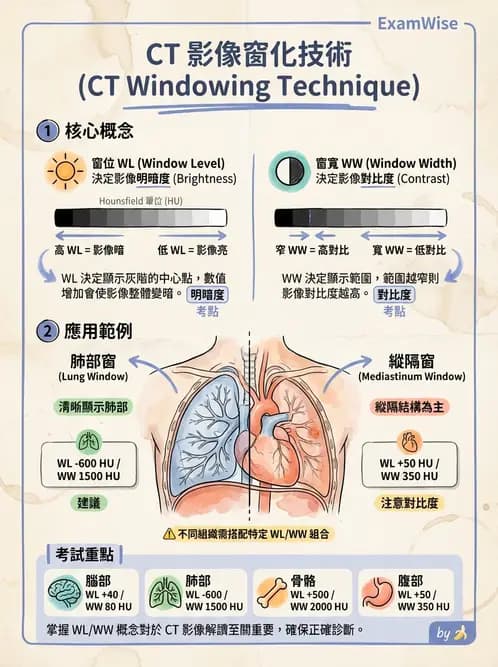 放射 - CTA與CT影像技術應用 - AI 圖文解析預覽