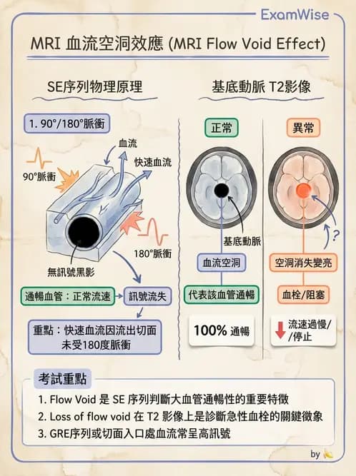 放射 - 磁振影像品質與參數 - AI 圖文解析預覽