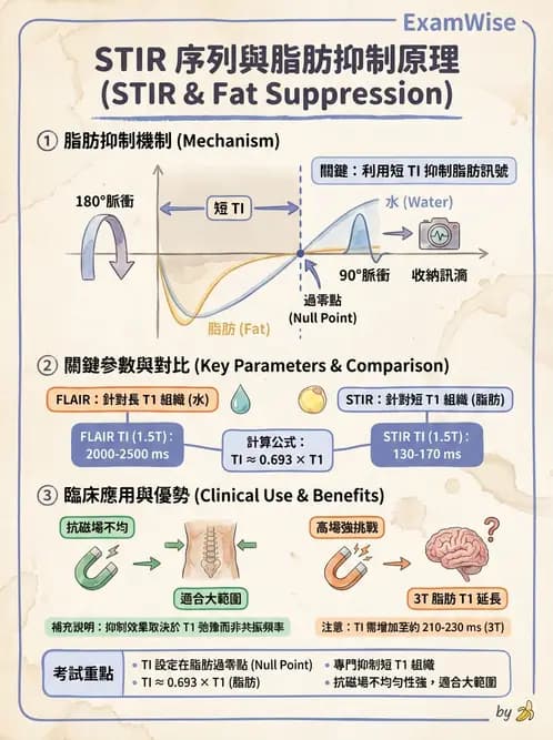 放射 - MRI脈衝序列與訊號技術 - AI 圖文解析預覽