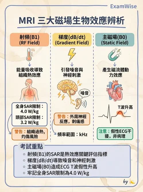 放射 - MRI安全與顯影劑 - AI 圖文解析預覽